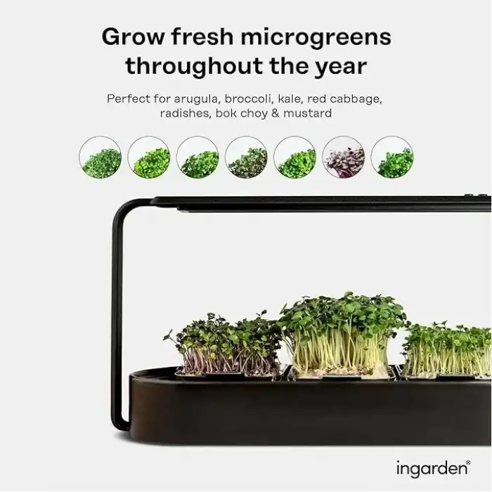 Ingarden Organik Süper Tohum Yetiştirme Kiti Otomatik 4 Kademe Led - Siyah