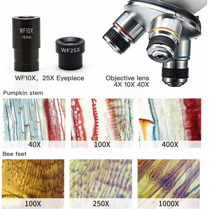 Lomiluskr Sevimli Tavşan 2.4G Kablosuz Sessiz Mouse - Yeşil Tavşan