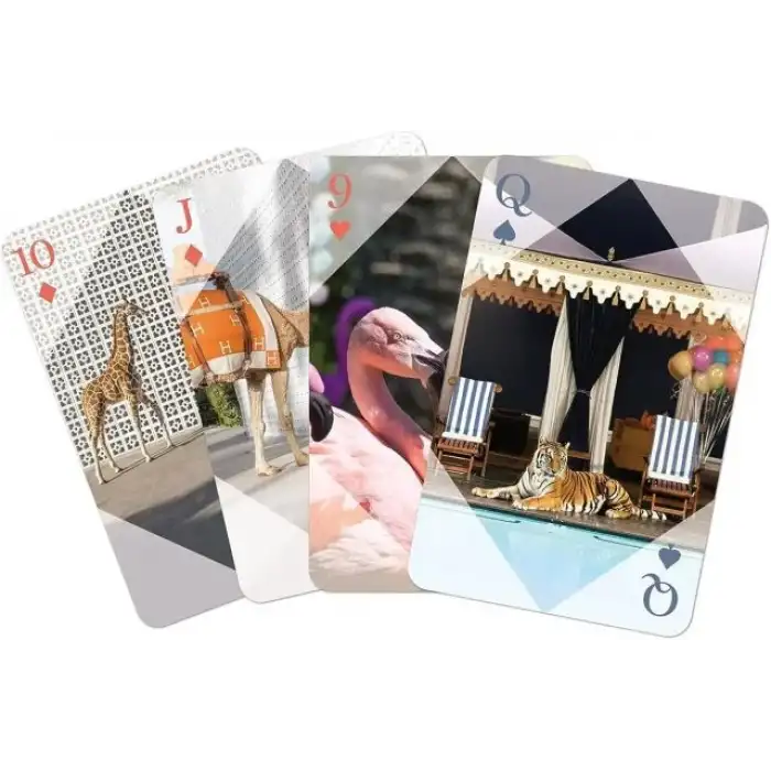 Mudpuppy Oyun Kartı