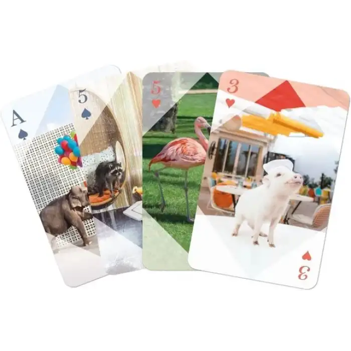 Mudpuppy Oyun Kartı