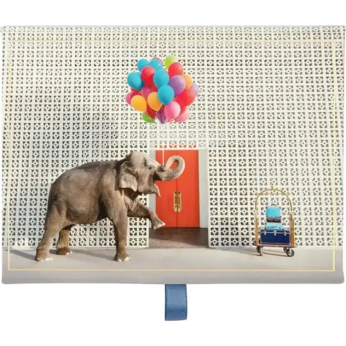 Mudpuppy Oyun Kartı