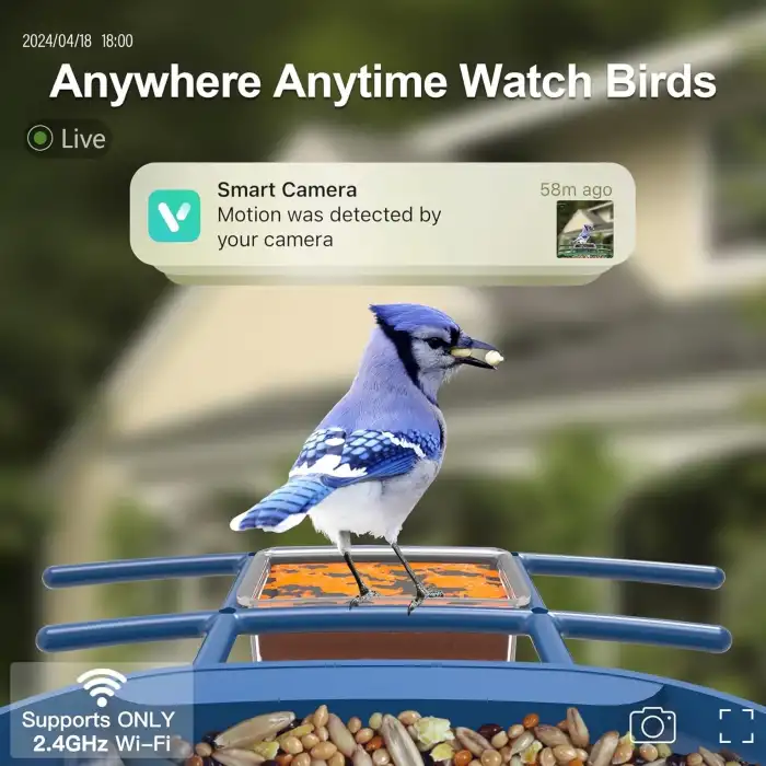 Onlyfly Güneş Enerjili Kameralı Kuş Yemliği: 2K Canlı Yayın Kamerası - Beyaz/Mavi