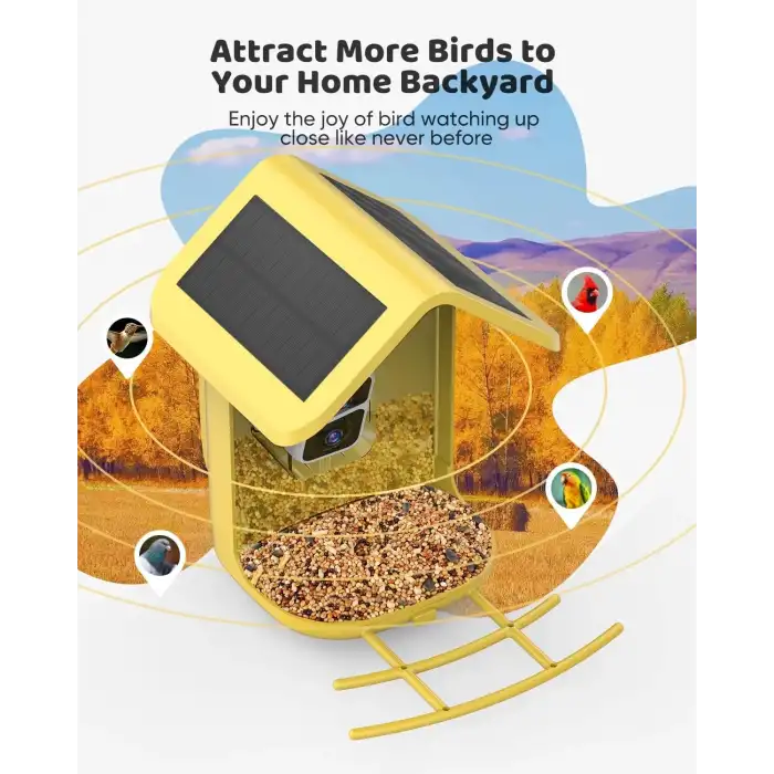 Onlyfly Güneş Enerjili Kameralı Kuş Yemliği: 2K Canlı Yayın Kamerası - Sarı