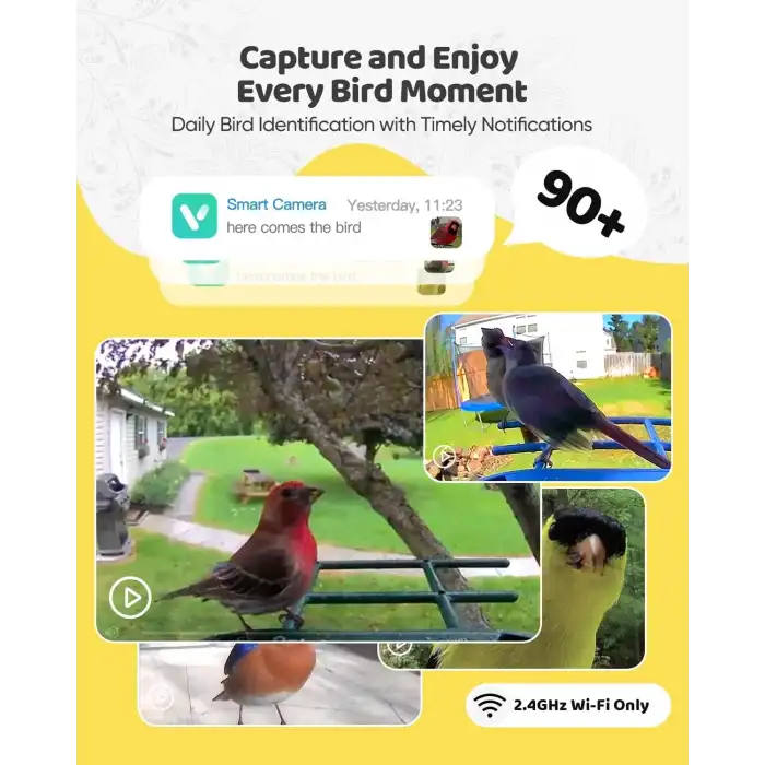 Onlyfly Güneş Enerjili Kameralı Kuş Yemliği: 2K Canlı Yayın Kamerası - Sarı