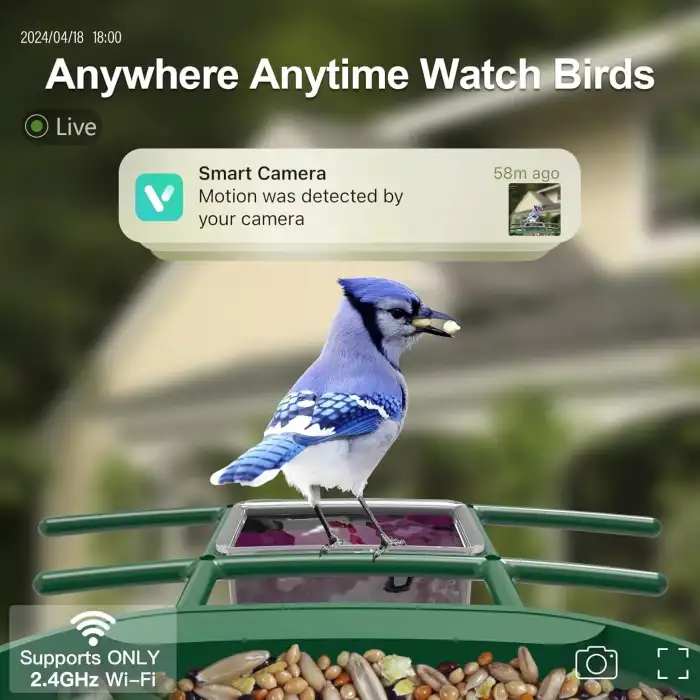 Onlyfly Güneş Enerjili Kameralı Kuş Yemliği: 2K Canlı Yayın Kamerası - Yeşil