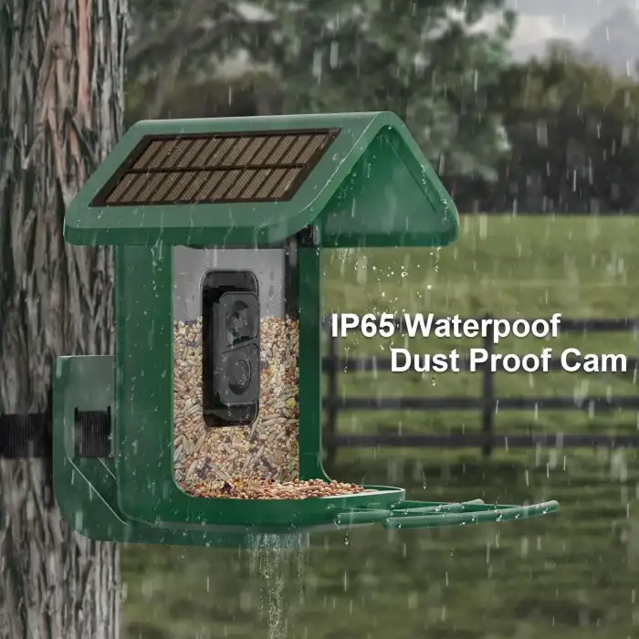 Onlyfly Güneş Enerjili Kameralı Kuş Yemliği: 2K Canlı Yayın Kamerası - Yeşil