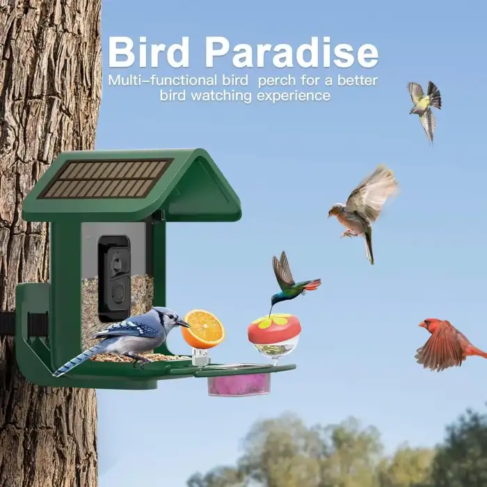 Onlyfly Güneş Enerjili Kameralı Kuş Yemliği: 2K Canlı Yayın Kamerası - Yeşil