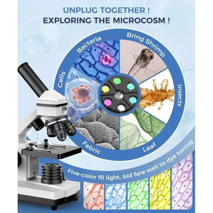 PalliPartners 100X-2000X Bileşik Mikroskop