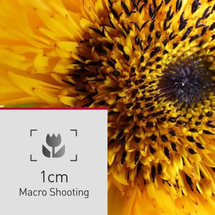 Panasonic LUMIX FZ80D 4K Dijital Fotoğraf Makinesi