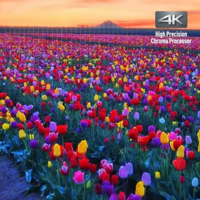 Panasonic Yayın 4K Blu Ray Oynatıcı DP-UB420-K