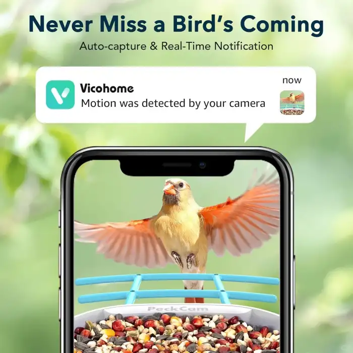 Peckcam Akıllı Kuş Yemliği, Kamera, 2K Canlı Gerçek Zamanlı Uyarı - Mavi