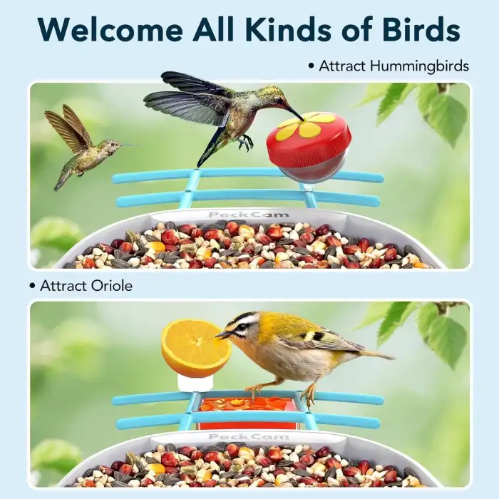 Peckcam Akıllı Kuş Yemliği, Kamera, 2K Canlı Gerçek Zamanlı Uyarı - Mavi