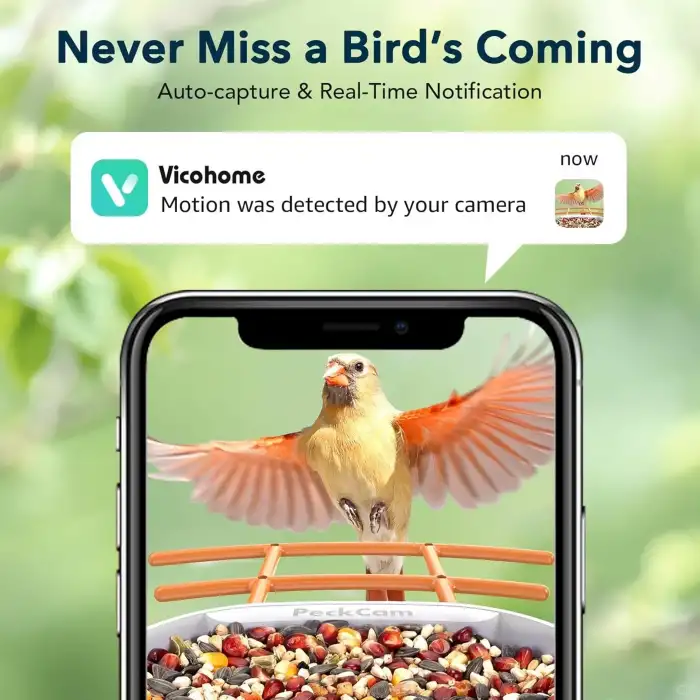 Peckcam Akıllı Kuş Yemliği, Kamera, 2K Canlı Gerçek Zamanlı Uyarı - Turuncu