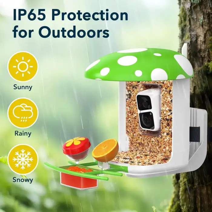 Peckcam Akıllı Kuş Yemliği, Kamera, 2K Canlı Gerçek Zamanlı Uyarı - Yeşil