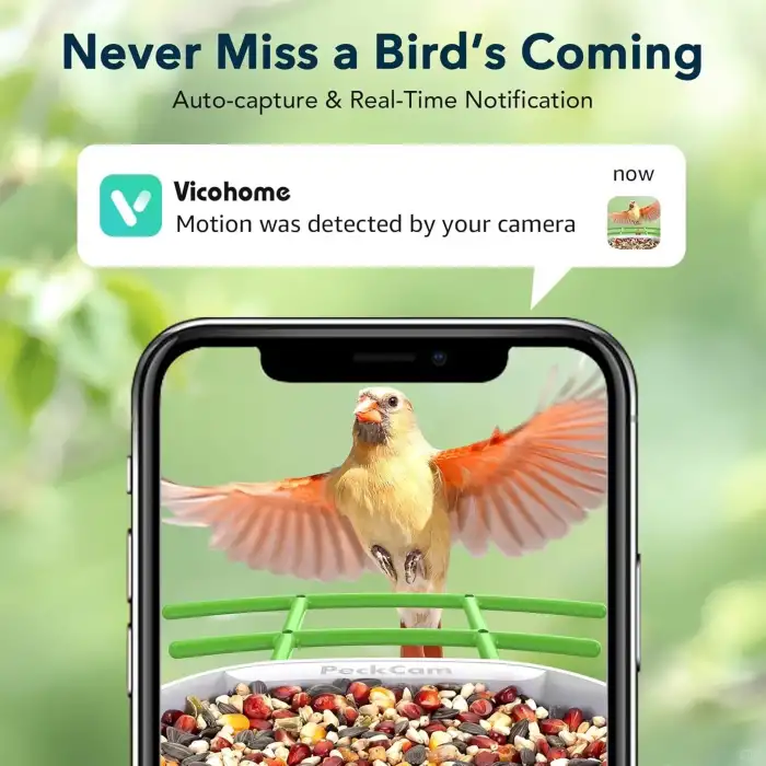 Peckcam Akıllı Kuş Yemliği, Kamera, 2K Canlı Gerçek Zamanlı Uyarı - Yeşil