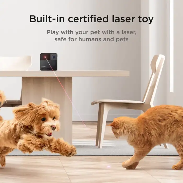 Petcube Play 2 Wi-Fi Evcil Hayvan Kamerası, Lazer Oyuncaklı - Kedi ve Köpek için