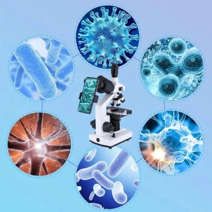 Poothoh Bileşik trinoküler Mikroskop 40X-5000X Büyütme