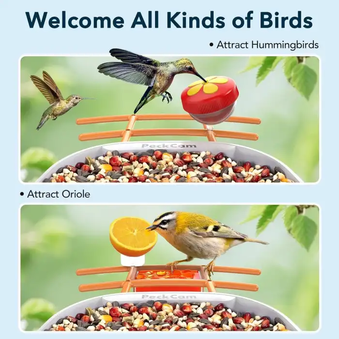 PureRadiance Yüz için LED Kırmızı Işık Terapi Maskesi, 7 Renk Modu