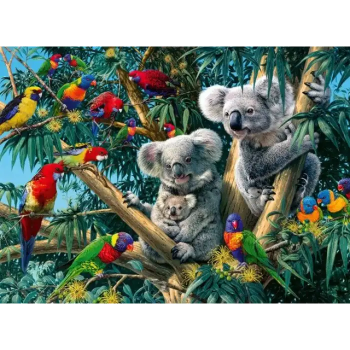 Ravensburger Koalas Ağaçta 500 Parça Puzzle - 14826