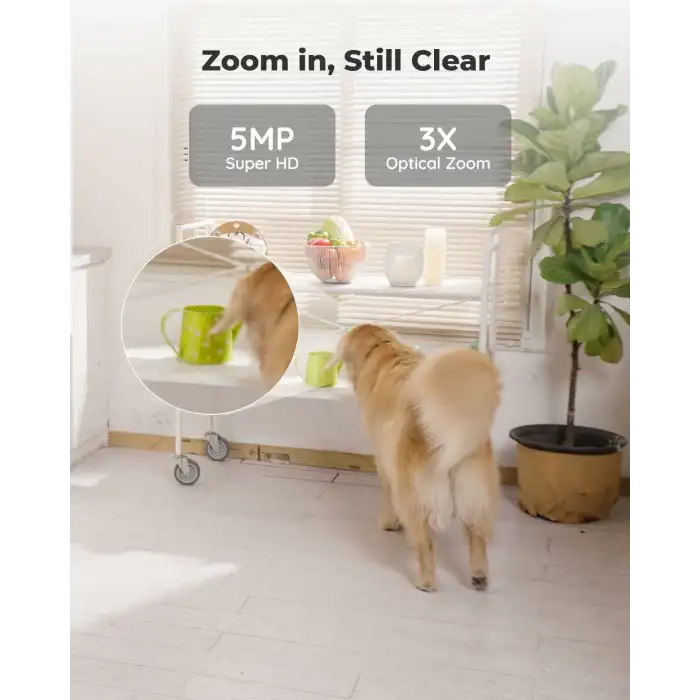 Reolink İç Mekan Güvenlik Kamerası, 5MP Süper HD Takılabilir WiFi Kamera