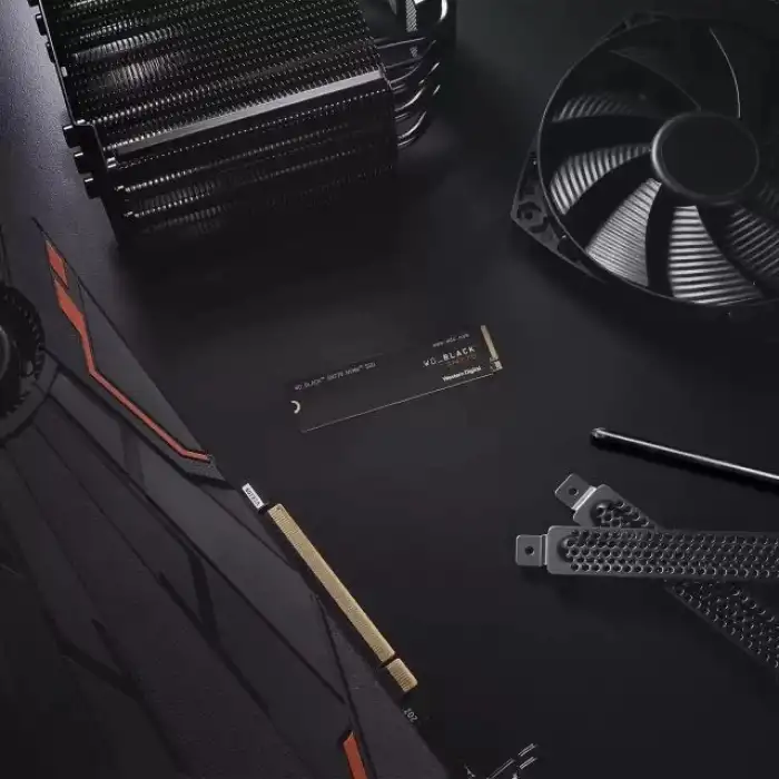 WD_BLACK 250 GB SN770 NVMe Dahili Oyun SSD Kartı