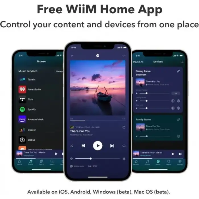 WiiM Amp: Çok Odalı Yayın Amplifikatörü - Chromecast
