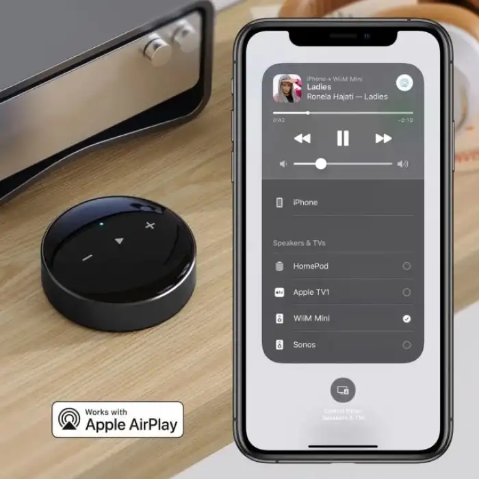 WiiM Mini AirPlay2 Kablosuz Ses Aktarıcı
