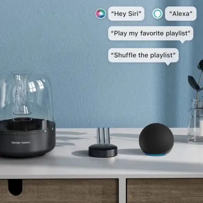 WiiM Mini AirPlay2 Kablosuz Ses Aktarıcı