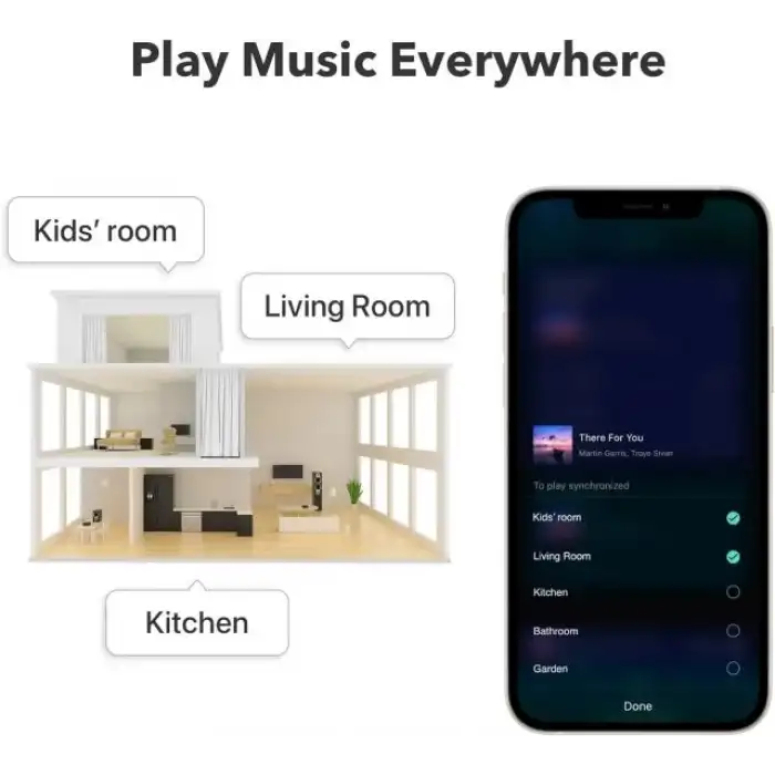WiiM Mini AirPlay2 Kablosuz Ses Aktarıcı