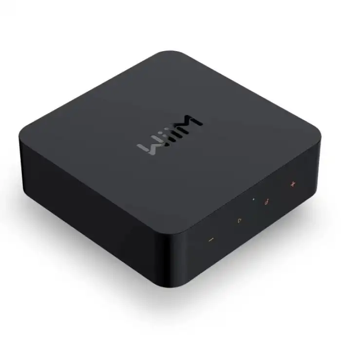 WiiM Pro AirPlay 2 - WiFi Çok Odalı Yayıncı Chromecast