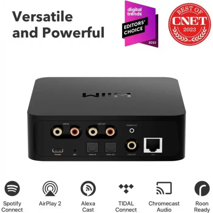WiiM Pro AirPlay 2 - WiFi Çok Odalı Yayıncı Chromecast