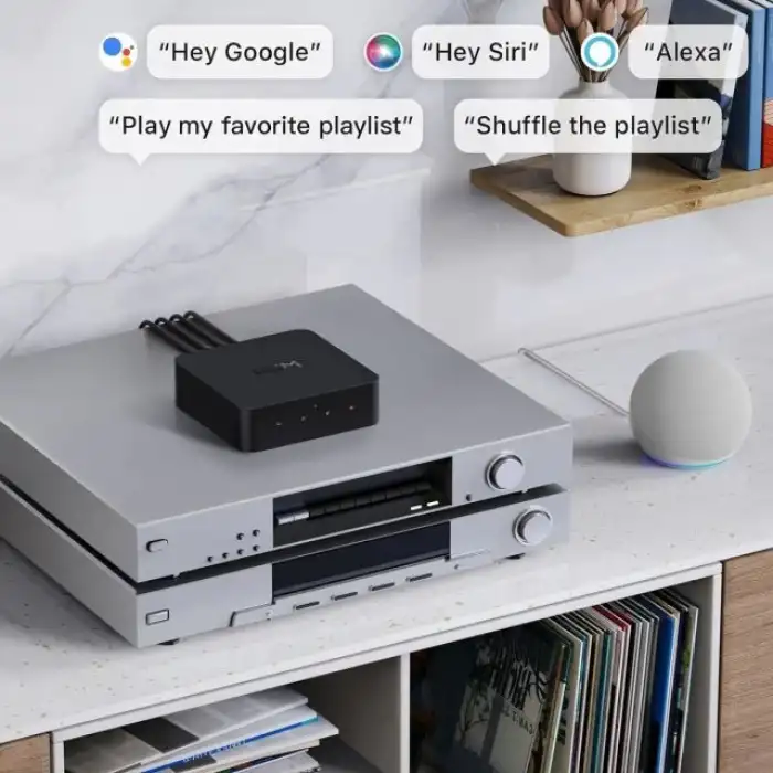WiiM Pro AirPlay 2 - WiFi Çok Odalı Yayıncı Chromecast