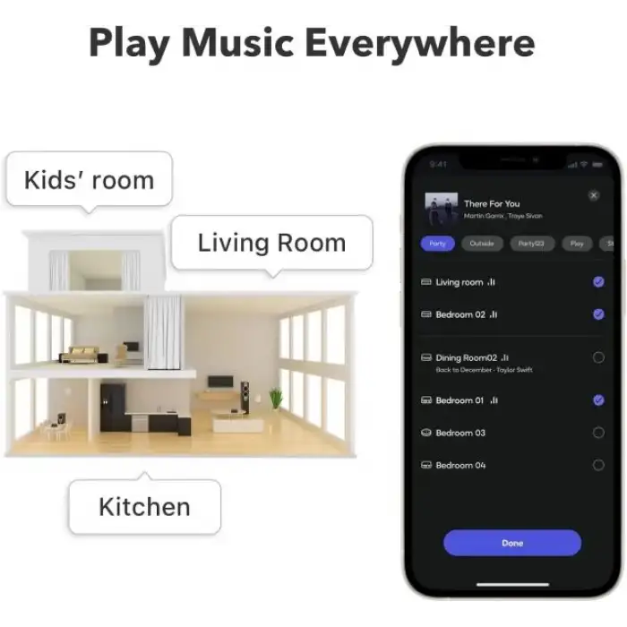 WiiM Pro AirPlay 2 - WiFi Çok Odalı Yayıncı Chromecast