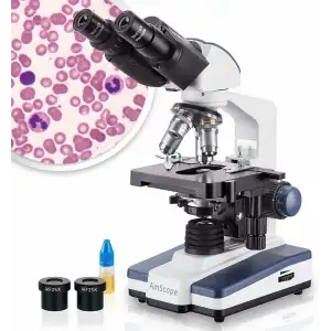 AmScope B120 Siedentopf Binoküler Bileşik Mikroskop