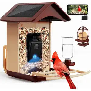 BirdLegend BL01 Kameralı Kuş Yemliği Güneş Enerjili - Kırmızı