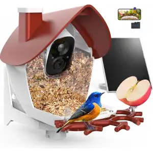 BirdSnap P33 - Güneş Enerjili 2K Video Canlı Kuş Kamerası Yemliği - Kırmızı