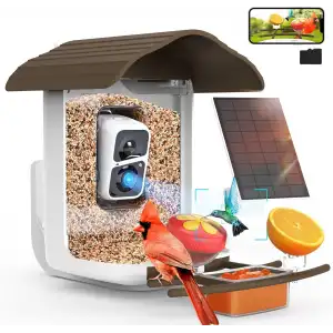 BirdSnap PAV - Akıllı Kuş Yemliği, Güneş Enerjili Kamera 2K HD - Koyu Kahverengi