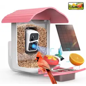 BirdSnap PAV - Akıllı Kuş Yemliği, Güneş Enerjili Kamera 2K HD - Pembe