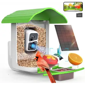 BirdSnap PAV - Akıllı Kuş Yemliği, Güneş Enerjili Kamera 2K HD - Yeşil