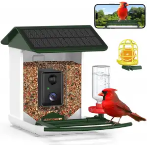 BROAIMX Güneş Enerjili Kameralı Kuş Yemliği Ücretsiz Yapay Zeka - Koyu Yeşil