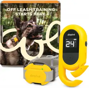 Dogtra CUE E-Yaka Su Geçirmez Şarj Edilebilir - Köpek Eğitim Tasması