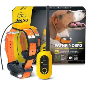 Dogtra Pathfinder 2 GPS Köpek Takip Cihazı ve Yaka LED Işık
