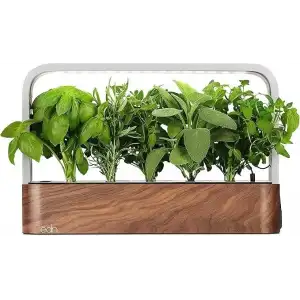 Edn Bitkiler ve Çiçekler için İç Mekanda Yetiştirme Akıllı Bahçe Başlangıç ​​Seti