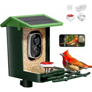 Heapets Kamera, Güneş Enerjili 2K HD Video - Çimen Yeşili