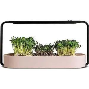 Ingarden Organik Süper Tohum Yetiştirme Kiti Otomatik 4 Kademe Led - Gül Rengi