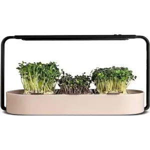 Ingarden Organik Süper Tohum Yetiştirme Kiti Otomatik 4 Kademe Led - Krem Bej