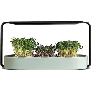 Ingarden Organik Süper Tohum Yetiştirme Kiti Otomatik 4 Kademe Led - Nane Yeşili