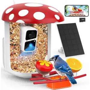 Peckcam Akıllı Kuş Yemliği, Kamera, 2K Canlı Gerçek Zamanlı Uyarı - Kırmızı