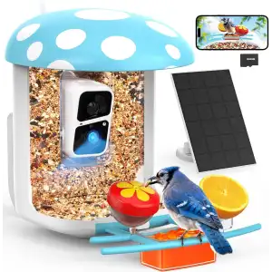 Peckcam Akıllı Kuş Yemliği, Kamera, 2K Canlı Gerçek Zamanlı Uyarı - Mavi