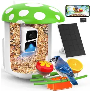 Peckcam Akıllı Kuş Yemliği, Kamera, 2K Canlı Gerçek Zamanlı Uyarı - Yeşil